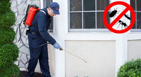 Bafra Böcek ve Haşere İlaçlama böcek ilaçlama ve haşere kontrolü — ilaclama-tr.com